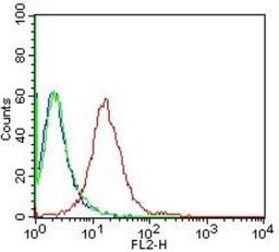 Flow (Intracellular): Calnexin Antibody (IE2.1C12) [NBP2-36571] - Intracellular staining of human Calnexin in Flow cytometry using 5.0 ug of antibody per 1 million cells. Isotype control was mouse IgG2b kappa.