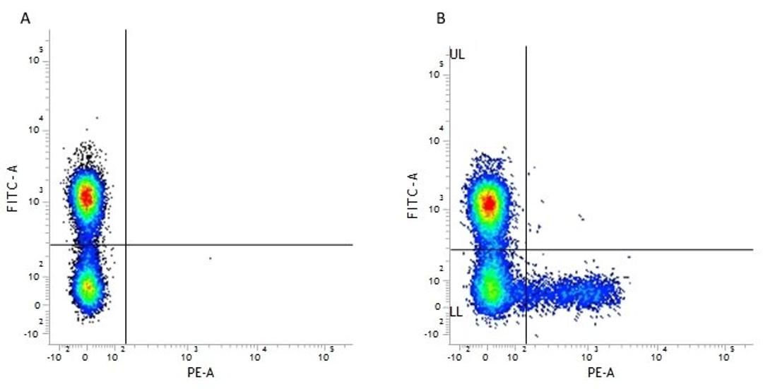 Figure A. mouse anti human CD3. Figure B. mouse anti human CD3 and mouse anti human CD158a.