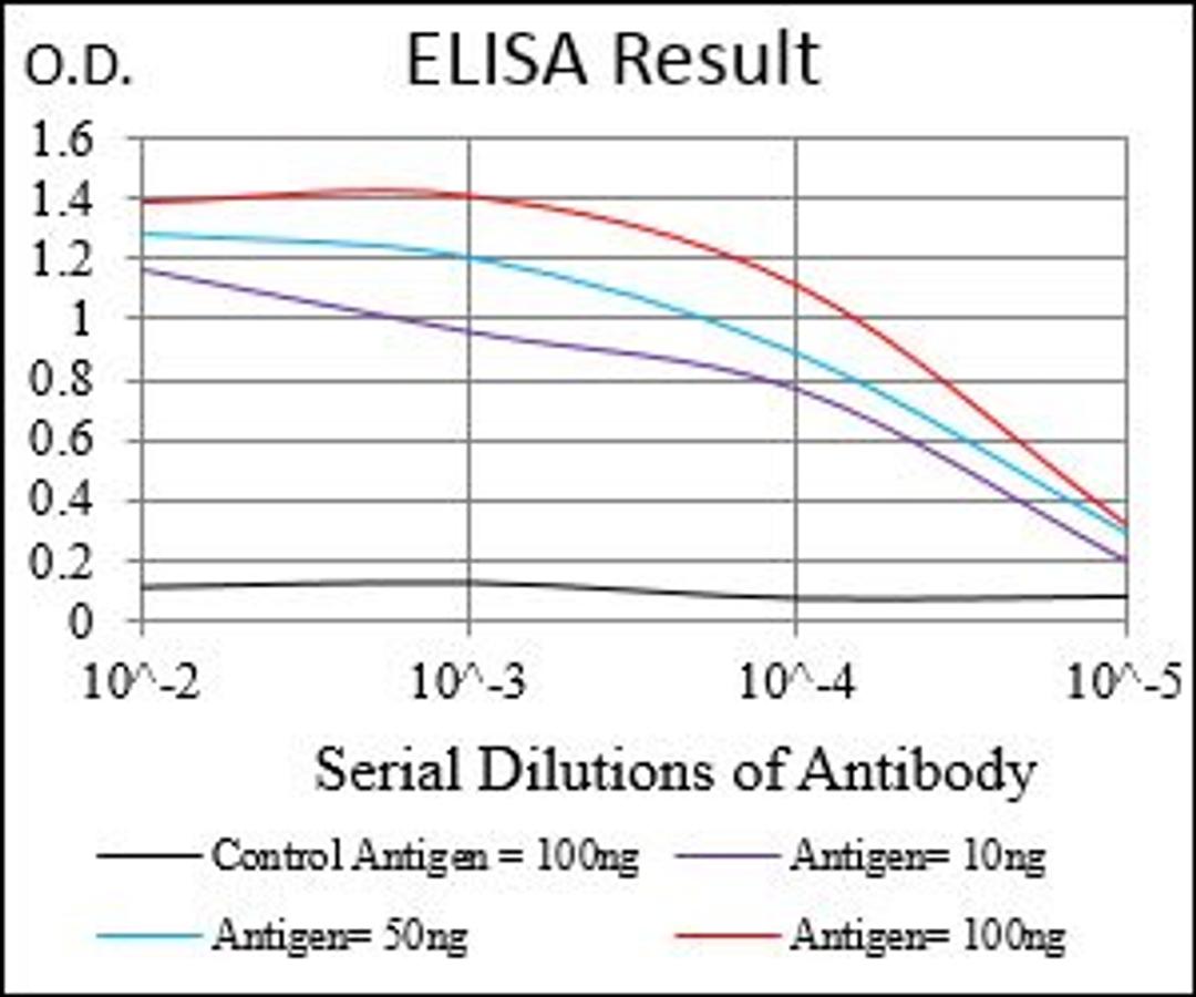 Line graph illustrates about the Ag-Ab reactions using different concentrations of antigen and serial dilutions of WT1 antibody