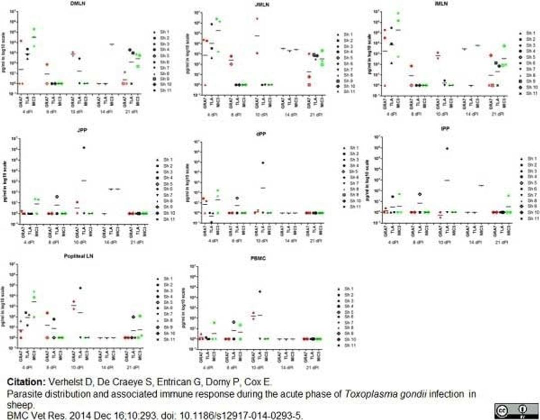 Biotinylated Mouse anti Bovine interferon gamma antibody used to evaluate ovine ifn-&gamma response