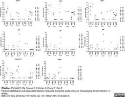 Biotinylated Mouse anti Bovine interferon gamma used as a detection reagent in a sandwich ELISA