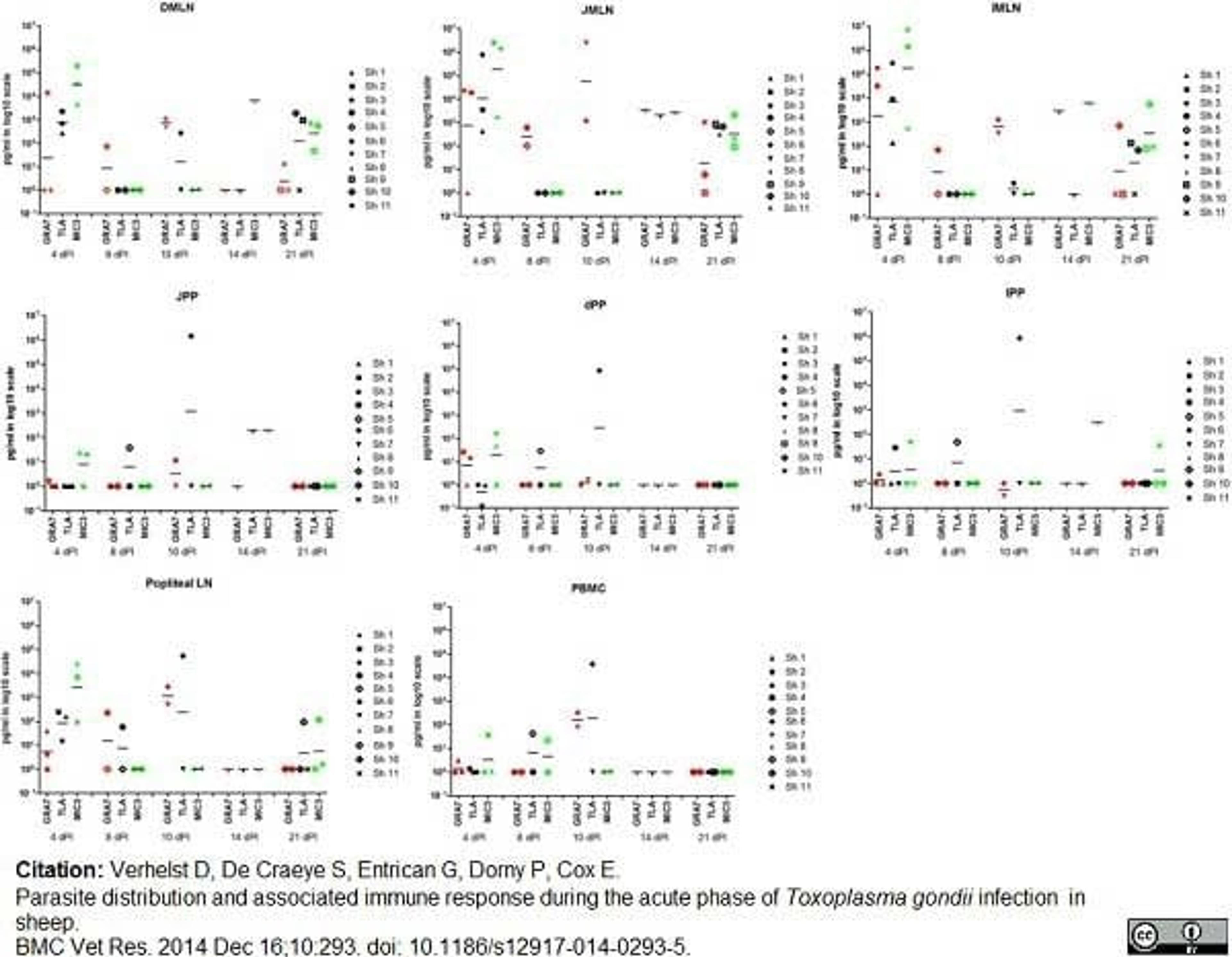 Biotinylated Mouse anti Bovine interferon gamma used to to evaluate ovine ifn-&gamma responses