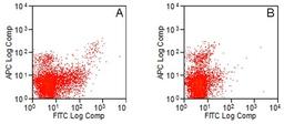 Mouse spleen cells stained with Rat anti Mouse CD8 alpha:APC