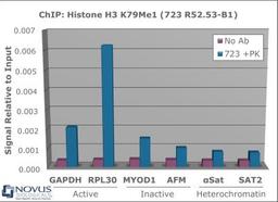 Chromatin Immunoprecipitation: Histone H3 [Monomethyl Lys79] Antibody [NB21-1381] - Chromatin from one million formaldehyde cross-linked Hela cells was used with 2ug of NB21-1381 and 20ul of magnetic IgG beads per immunoprecipitation. A no antibody (No Ab) control was also used. Immunoprecipitated DNA was quantified using quantitative real-time PCR and SYBR green dye, then normalized to the non-precipitated input chromatin, which is equal to one.