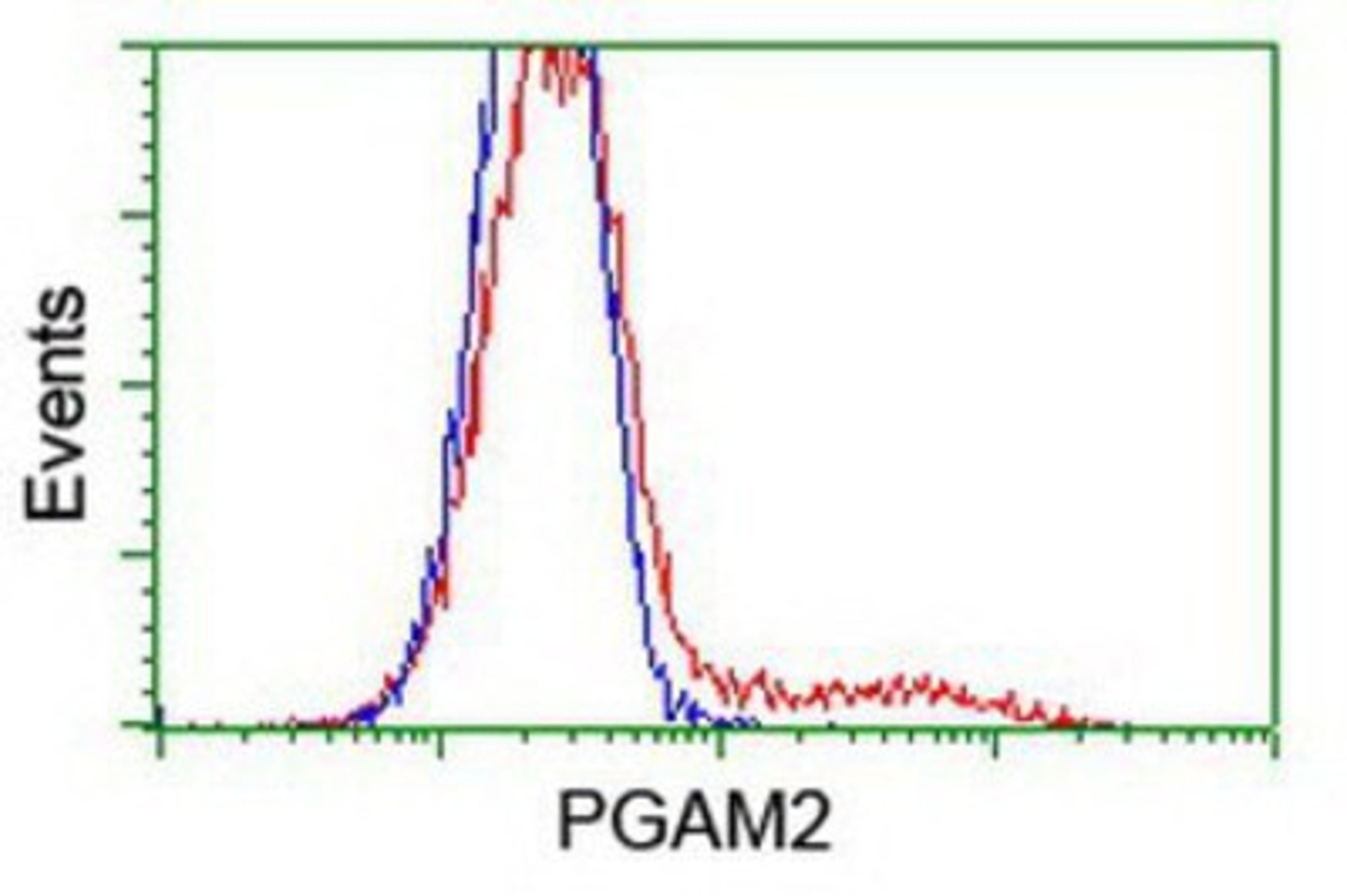 Flow Cytometry: PGAM2 Antibody (4E9) [NBP2-01142] - HEK293T cells transfected with either overexpression plasmid (Red) or empty vector control plasmid (Blue) were immunostained by anti-PGAM2 antibody, and then analyzed by flow cytometry.