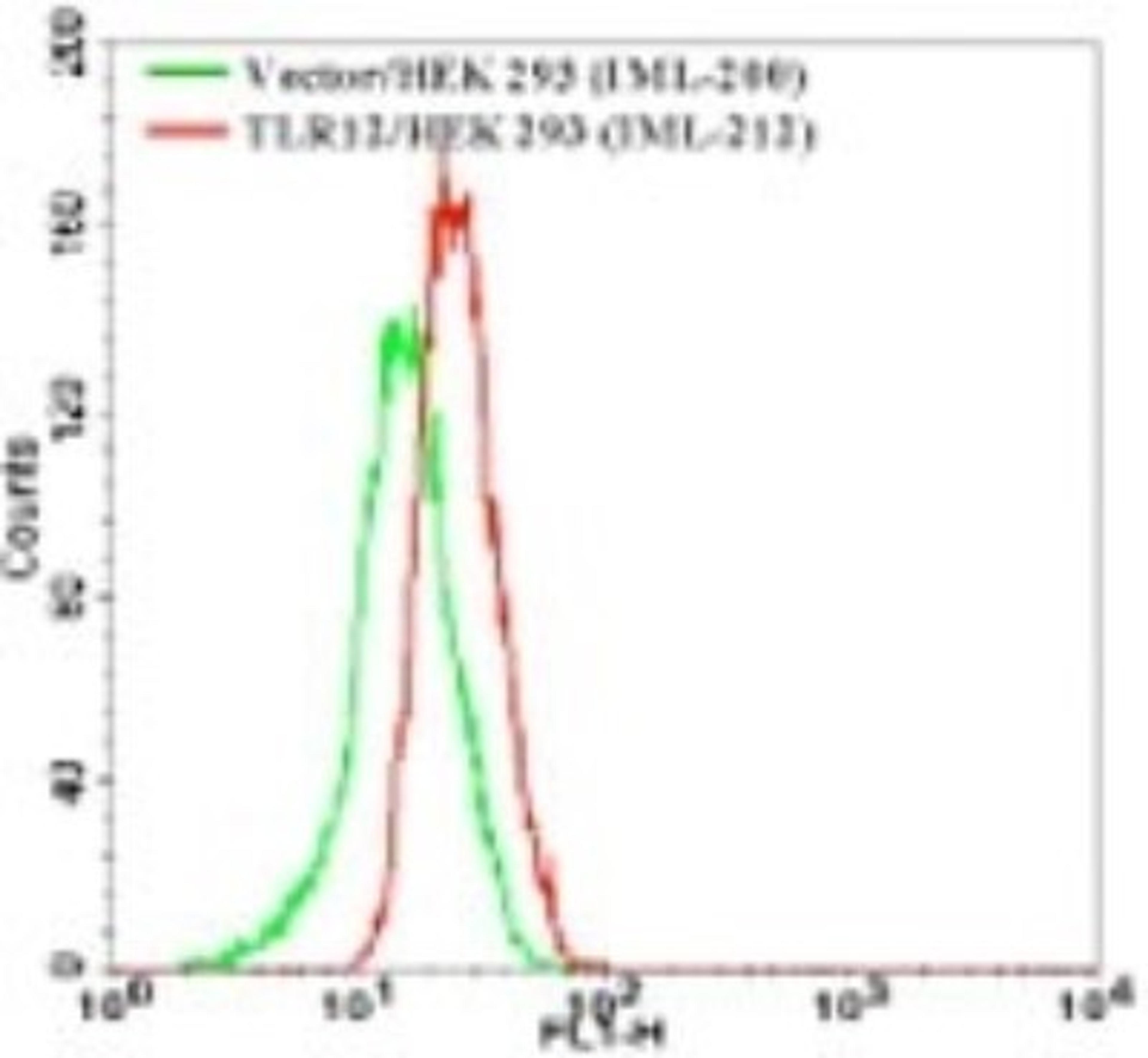 Flow (Intracellular): TLR12 Antibody [NBP2-24833] - Analysis using the FITC conjugate of NBP2-24833. Staining of TLR12 in the TLR12 table cell line using this antibody at 1 ug/10^6 cells (green represents vector control, red represents TLR12 antibody).