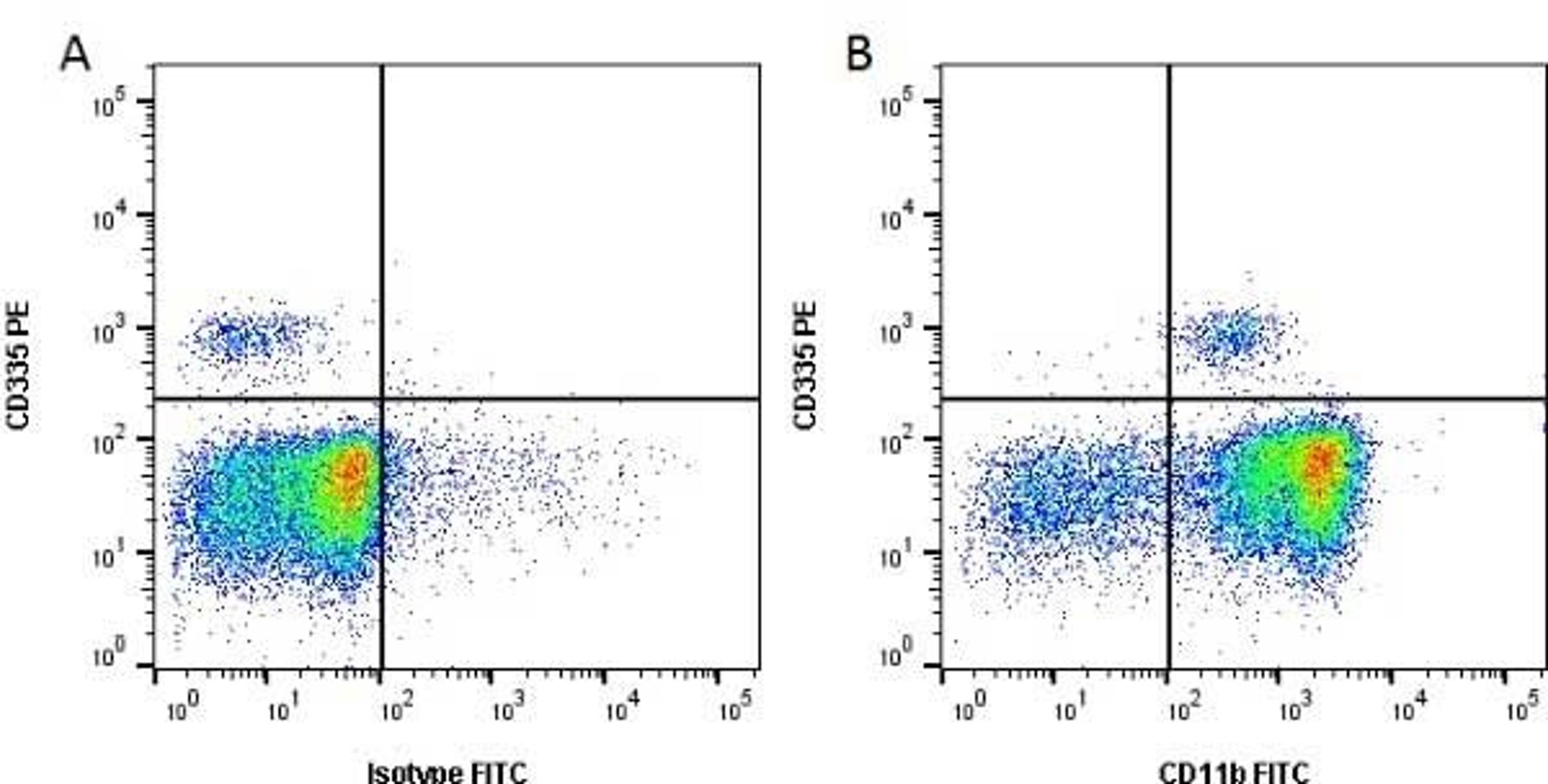 Figure A. Mouse anti Bovine CD335. Figure B. Mouse anti Bovine CD335 and Mouse anti Bovine CD11b.