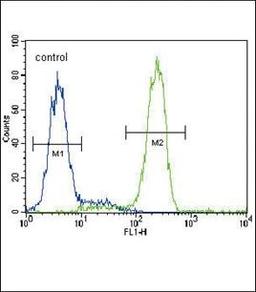 Flow cytometric analysis of HepG2 cells using PPARG antibody (primary antibody dilution at: 1:10-50)