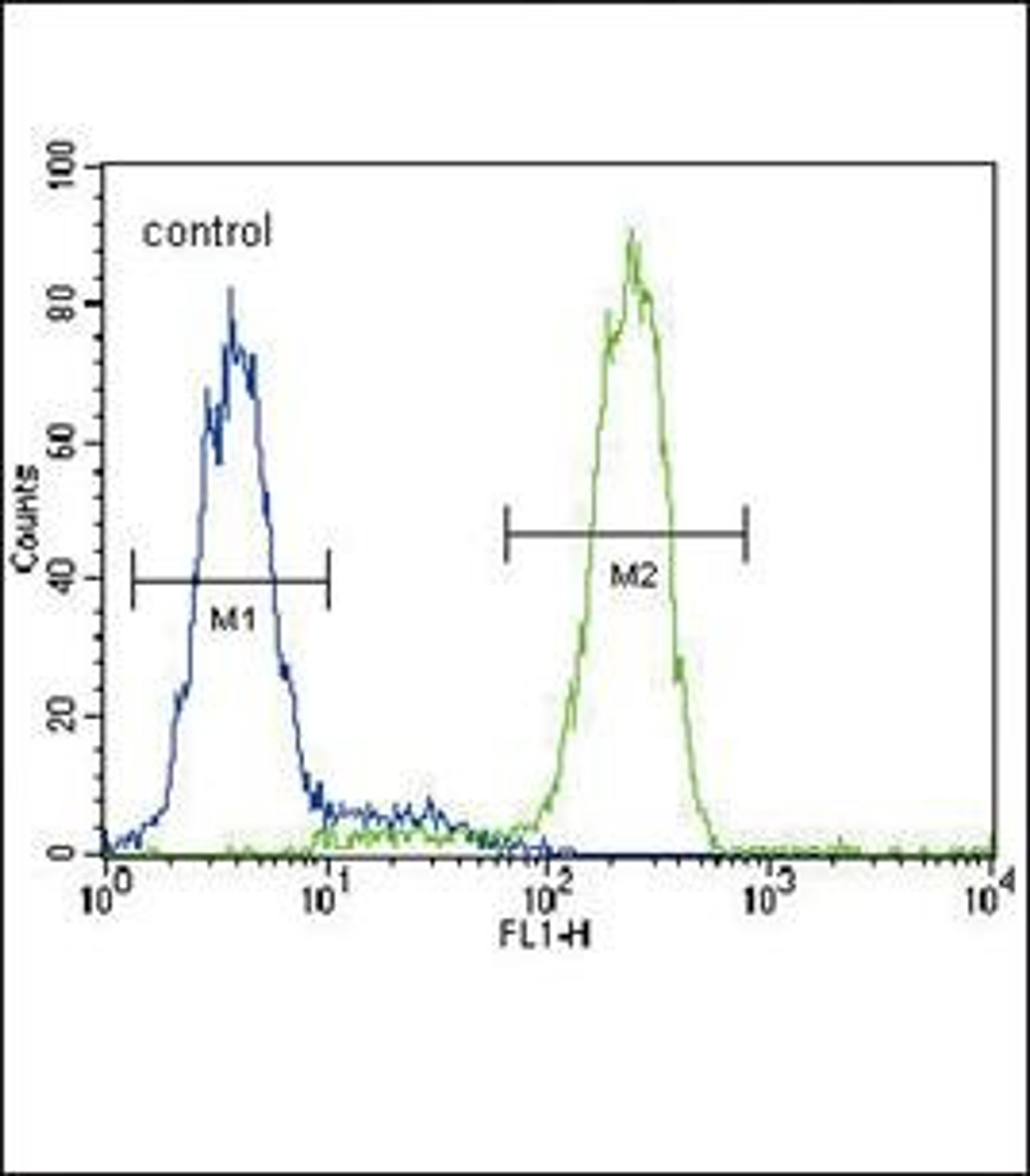 Flow cytometric analysis of HepG2 cells using PPARG antibody (primary antibody dilution at: 1:10-50)