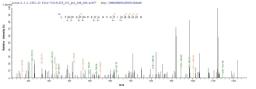 Based on the SEQUEST from database of E.coli host and target protein, the LC-MS/MS Analysis result of CSB-EP016052HU1 could indicate that this peptide derived from E.coli-expressed Homo sapiens (Human) Nr2c2.