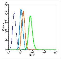 Flow cytometric analysis of Raji cell using GFAP delta antibody.