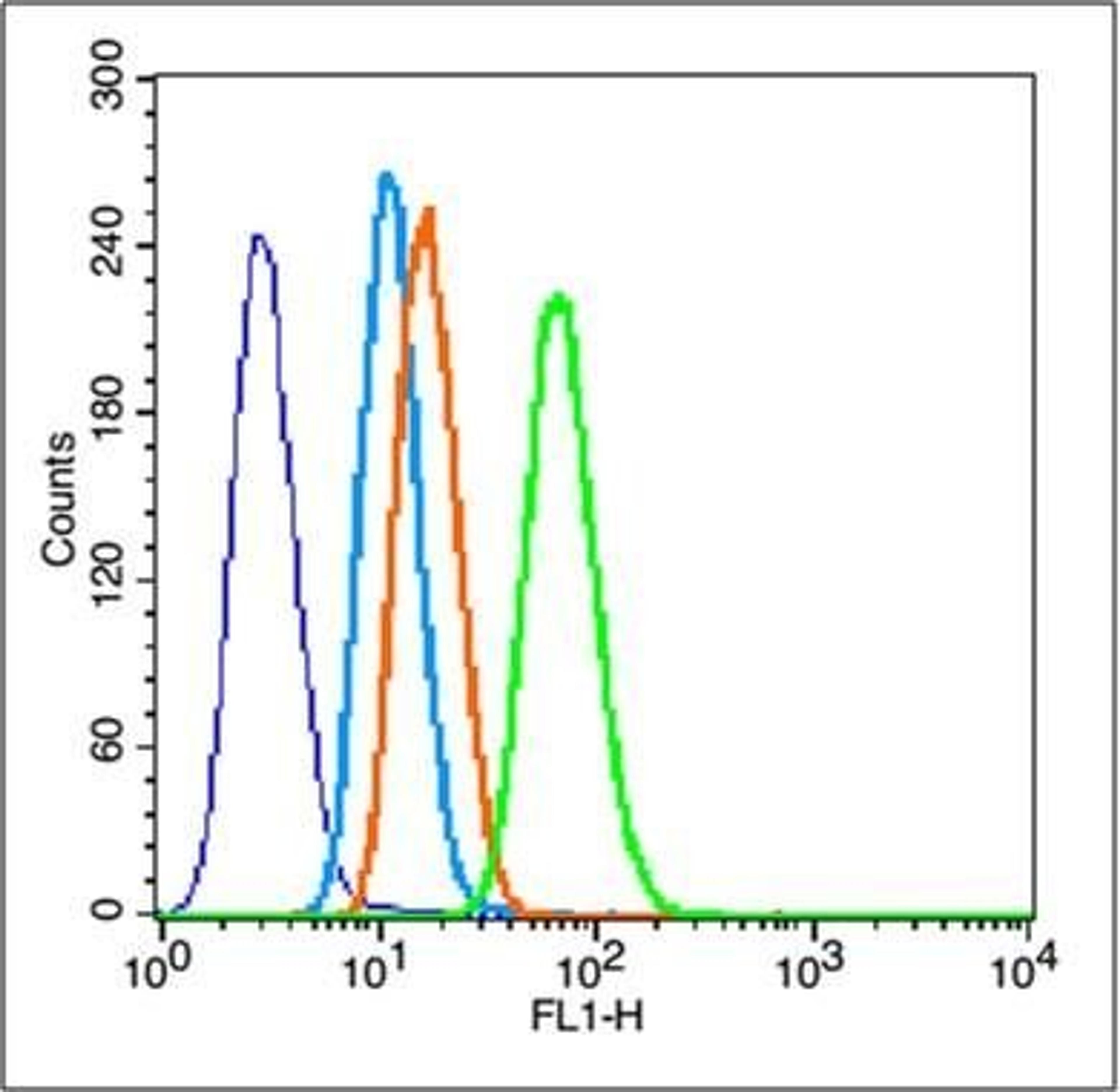 Flow cytometric analysis of Raji cell using GFAP delta antibody.