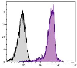 C57BL/6 mouse bone marrow cells were stained with Rat Anti-Mouse CD44-APC (Cat. No. 98-541).