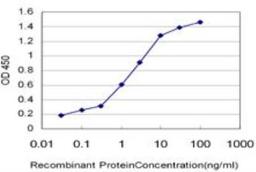 ELISA: HMGB2 Antibody (3D2) [NBP1-69801] - Detection limit for recombinant GST tagged HMGB2 is approximately 0.03 ng/ml as a capture antibody.