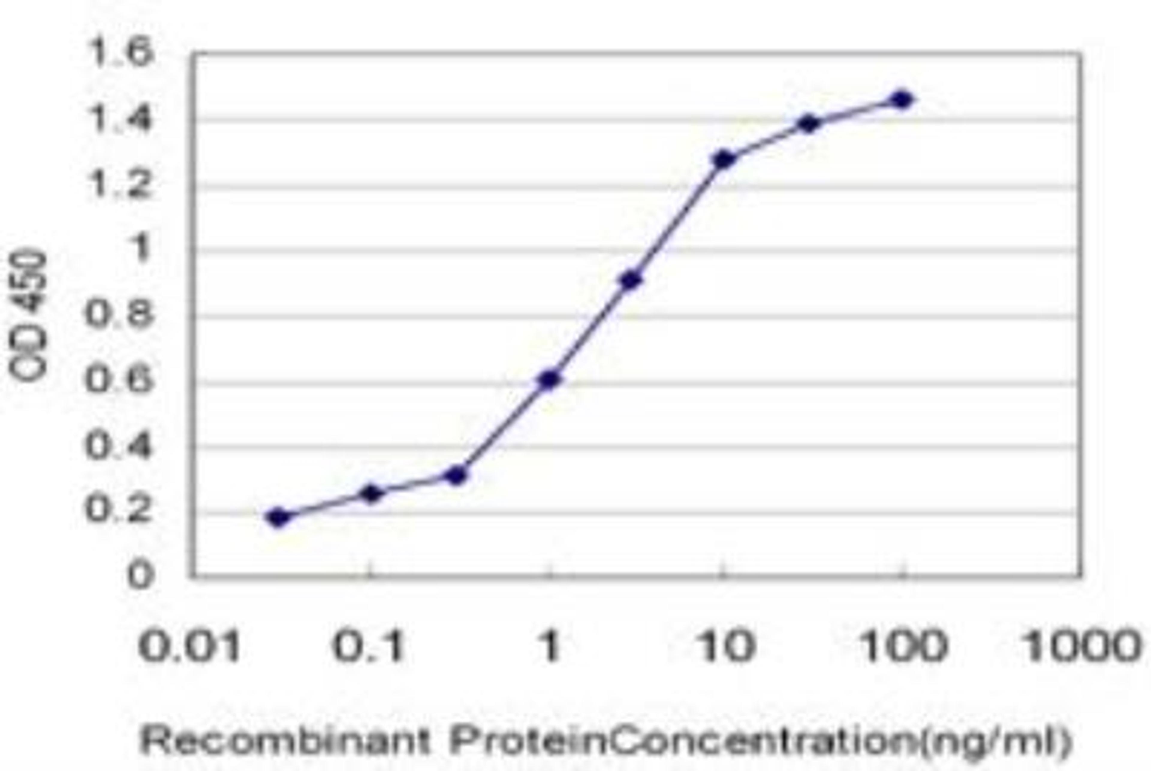 ELISA: HMGB2 Antibody (3D2) [NBP1-69801] - Detection limit for recombinant GST tagged HMGB2 is approximately 0.03 ng/ml as a capture antibody.