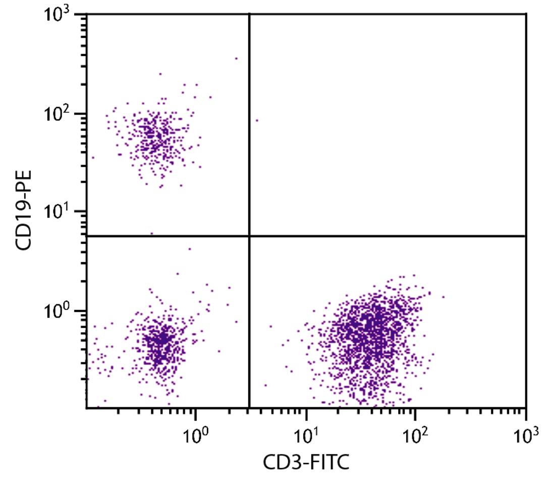 Human peripheral blood lymphocytes were stained with Mouse Anti-Human CD19-PE (Cat. No. 99-350) and Mouse Anti-Human CD3-FITC .