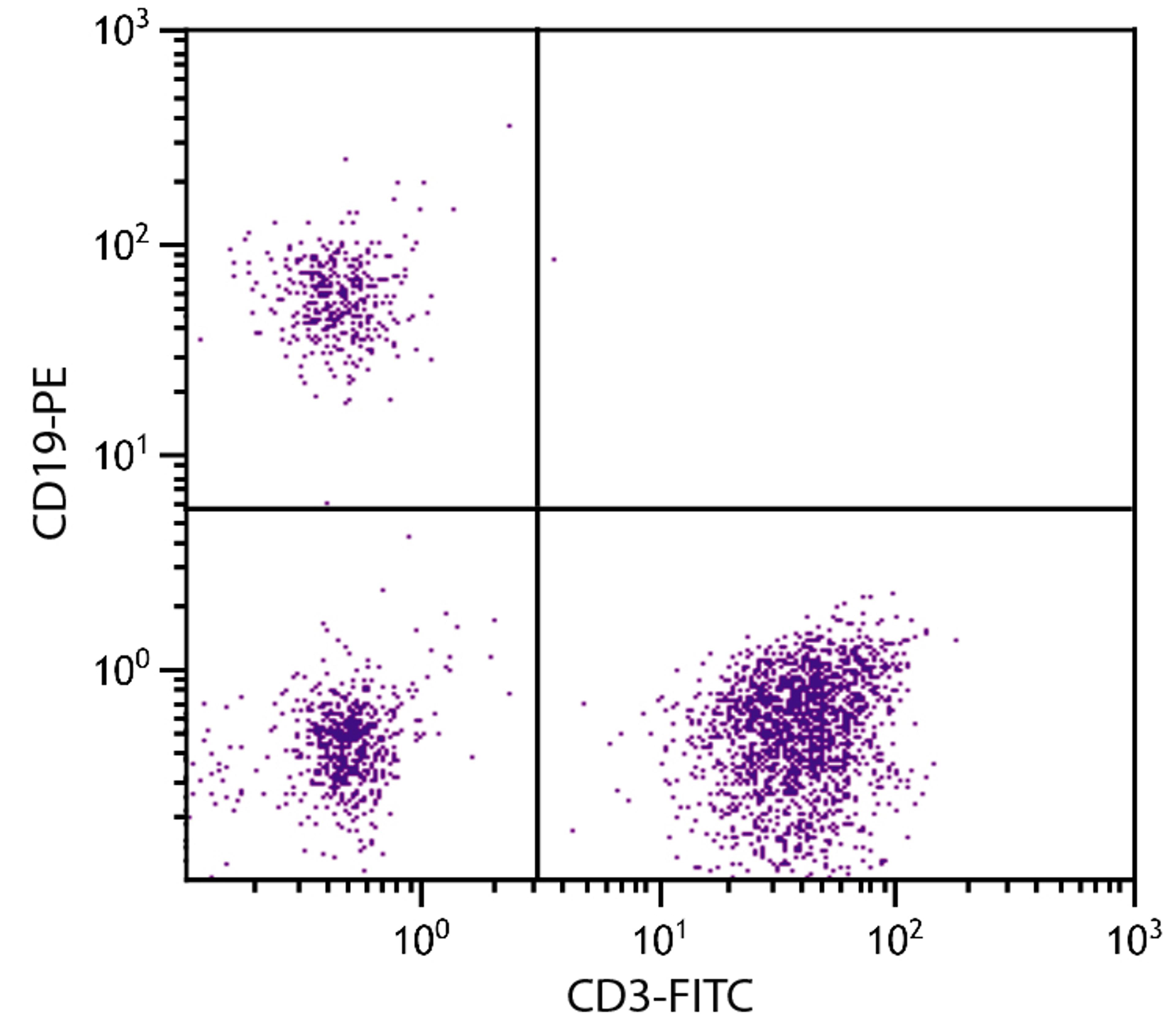 Human peripheral blood lymphocytes were stained with Mouse Anti-Human CD19-PE (Cat. No. 99-350) and Mouse Anti-Human CD3-FITC .