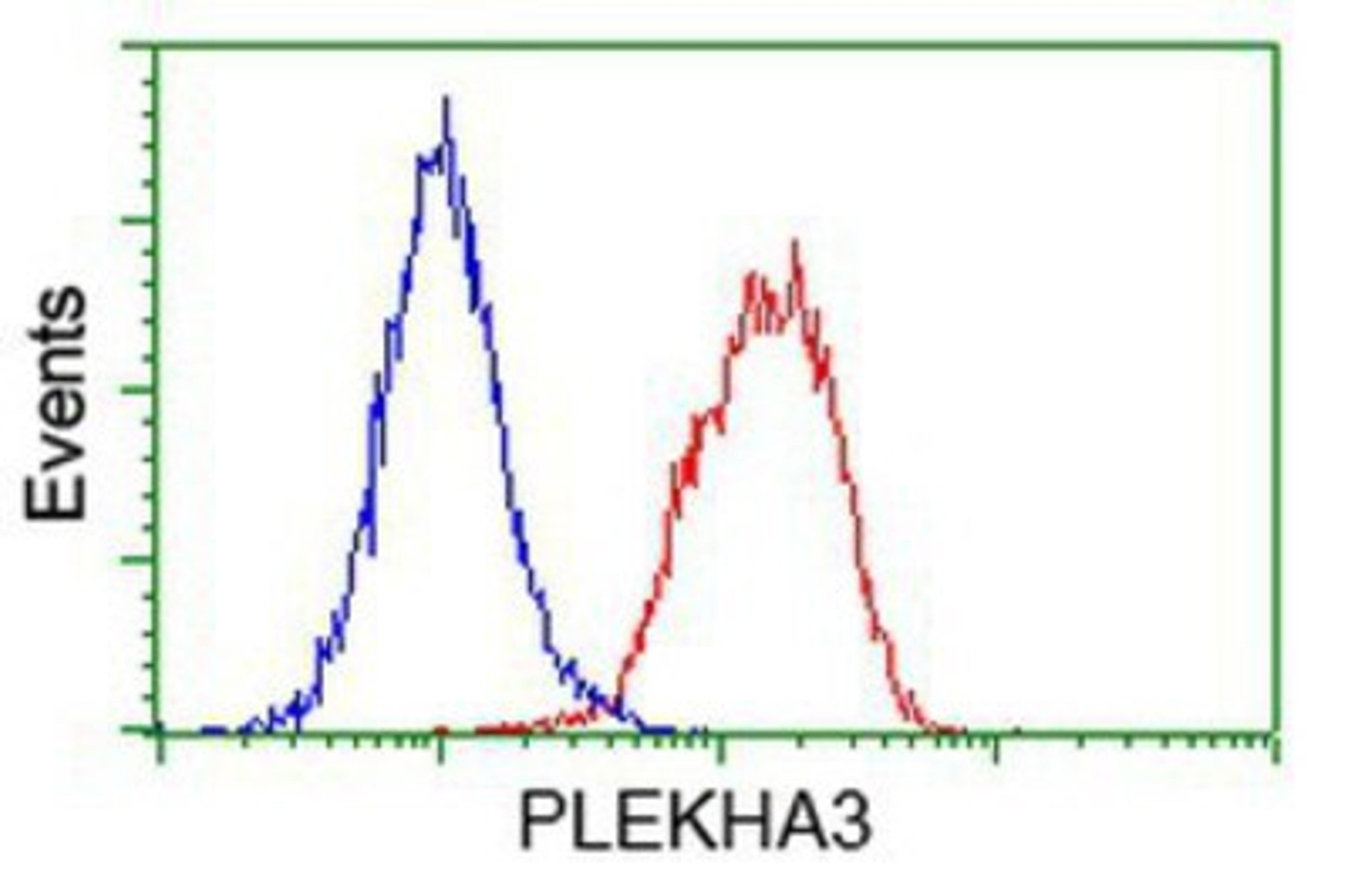 Flow Cytometry: PLEKHA3 Antibody (5D11) [NBP2-00768] - Analysis of Hela cells, using anti-PLEKHA3 antibody, (Red), compared to a nonspecific negative control antibody (Blue).