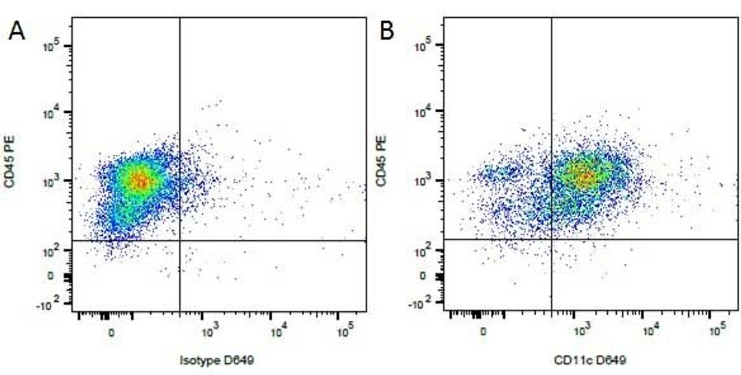 Figure A. Mouse anti Canine CD45. Figure B. Mouse anti Canine CD45 and Mouse anti Canine CD11c.