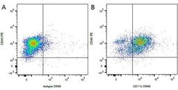 Figure A. Mouse anti Canine CD45. Figure B. Mouse anti Canine CD45 and Mouse anti Canine CD11c.