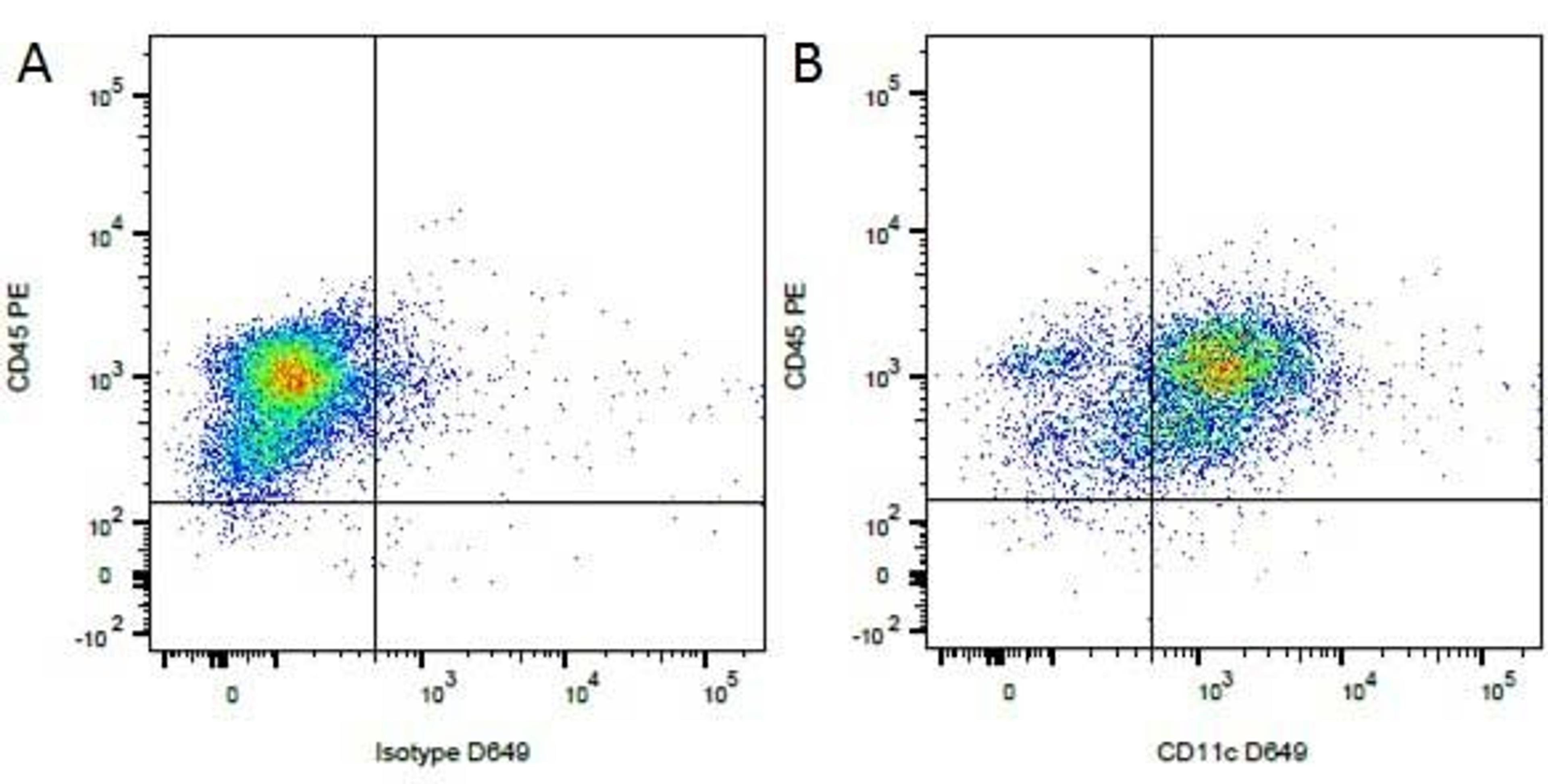 Figure A. Mouse anti Canine CD45. Figure B. Mouse anti Canine CD45 and Mouse anti Canine CD11c.