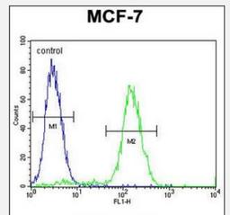 Flow Cytometry: WDR27 Antibody [NBP2-30017] - Flow cytometric analysis of MCF-7 cells (right histogram) compared to a negative control cell (left histogram).FITC-conjugated goat-anti-rabbit secondary antibodies were used for the analysis.