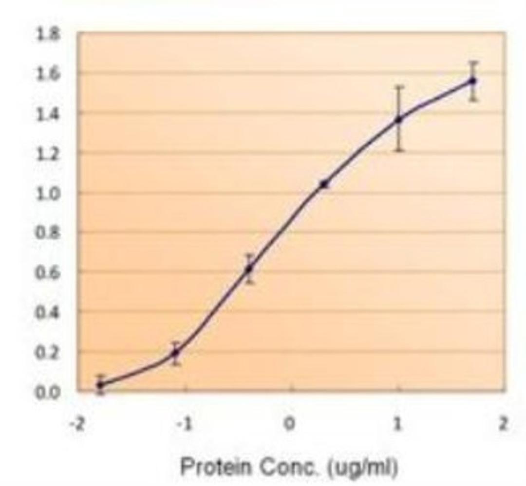 ELISA: Ferritin Light Chain Antibody [NBP1-06986] - (1.5ug/ml) as the reporter with  the capture rabbit antibody (5ug/ml).