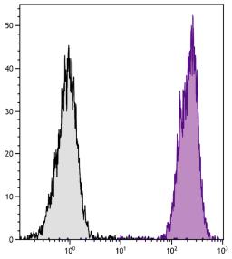 DBA/2 mouse splenocytes were stained with Mouse Anti-Mouse H-2Dd-PE (Cat. No. 99-083).