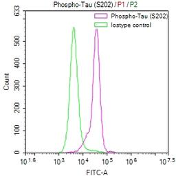Overlay Peak curve showing SH-SY5Y cells stained with CSB-RA082445A0HU (red line) at 1:50. The cells were fixed in 4% formaldehyde and permeated by 0.2% TritonX-100. Then 10% normal goat serum to block non-specific protein-protein interactions followed by the antibody (1µg/1*10<sup>6</sup>cells) for 45min at 4℃. The secondary antibody used was FITC-conjugated Goat Anti-rabbit IgG(H+L) at 1:200 dilution for 35min at 4℃.Control antibody (green line) was rabbit IgG (1µg/1*10<sup>6</sup>cells) used under the same conditions. Acquisition of >10,000 events was performed.
