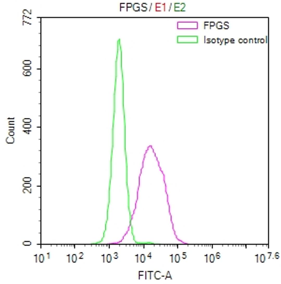 Overlay Peak curve showing HepG2 cells stained with CSB-RA983477A0HU (red line) at 1:50. The cells were fixed in 4% formaldehyde and permeated by 0.2% TritonX-100. Then 10% normal goat serum to block non-specific protein-protein interactions followed by the antibody (1µg/1*10<sup>6</sup>cells) for 45min at 4℃. The secondary antibody used was FITC-conjugated Goat Anti-rabbit IgG(H+L) at 1:200 dilution for 35min at 4℃.Control antibody (green line) was rabbit IgG (1µg/1*10<sup>6</sup>cells) used under the same conditions. Acquisition of >10,000 events was performed.