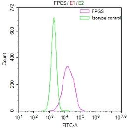 Overlay Peak curve showing HepG2 cells stained with CSB-RA983477A0HU (red line) at 1:50. The cells were fixed in 4% formaldehyde and permeated by 0.2% TritonX-100. Then 10% normal goat serum to block non-specific protein-protein interactions followed by the antibody (1µg/1*10<sup>6</sup>cells) for 45min at 4℃. The secondary antibody used was FITC-conjugated Goat Anti-rabbit IgG(H+L) at 1:200 dilution for 35min at 4℃.Control antibody (green line) was rabbit IgG (1µg/1*10<sup>6</sup>cells) used under the same conditions. Acquisition of >10,000 events was performed.
