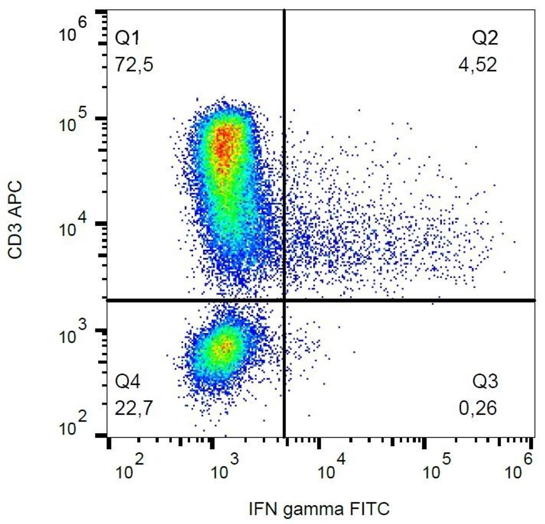 Flow cytometric analysis of Human PBMC using IFN gamma antibody (FITC)