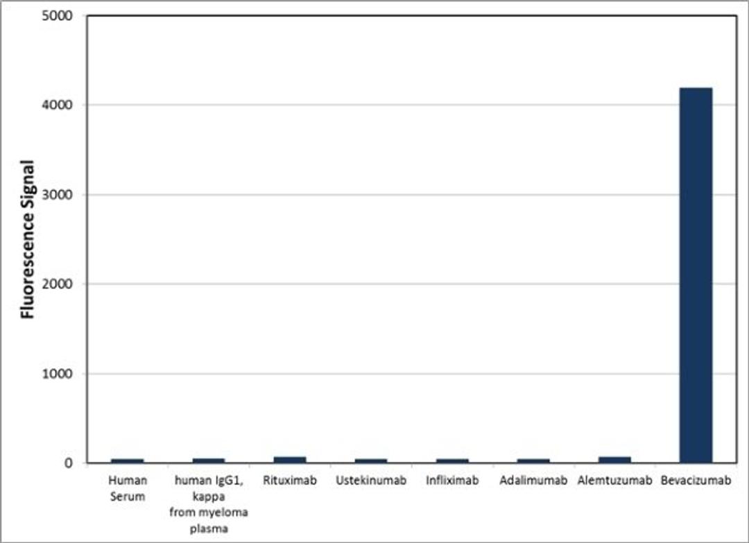 Human Anti-Bevacizumab Antibody specificity ELISA