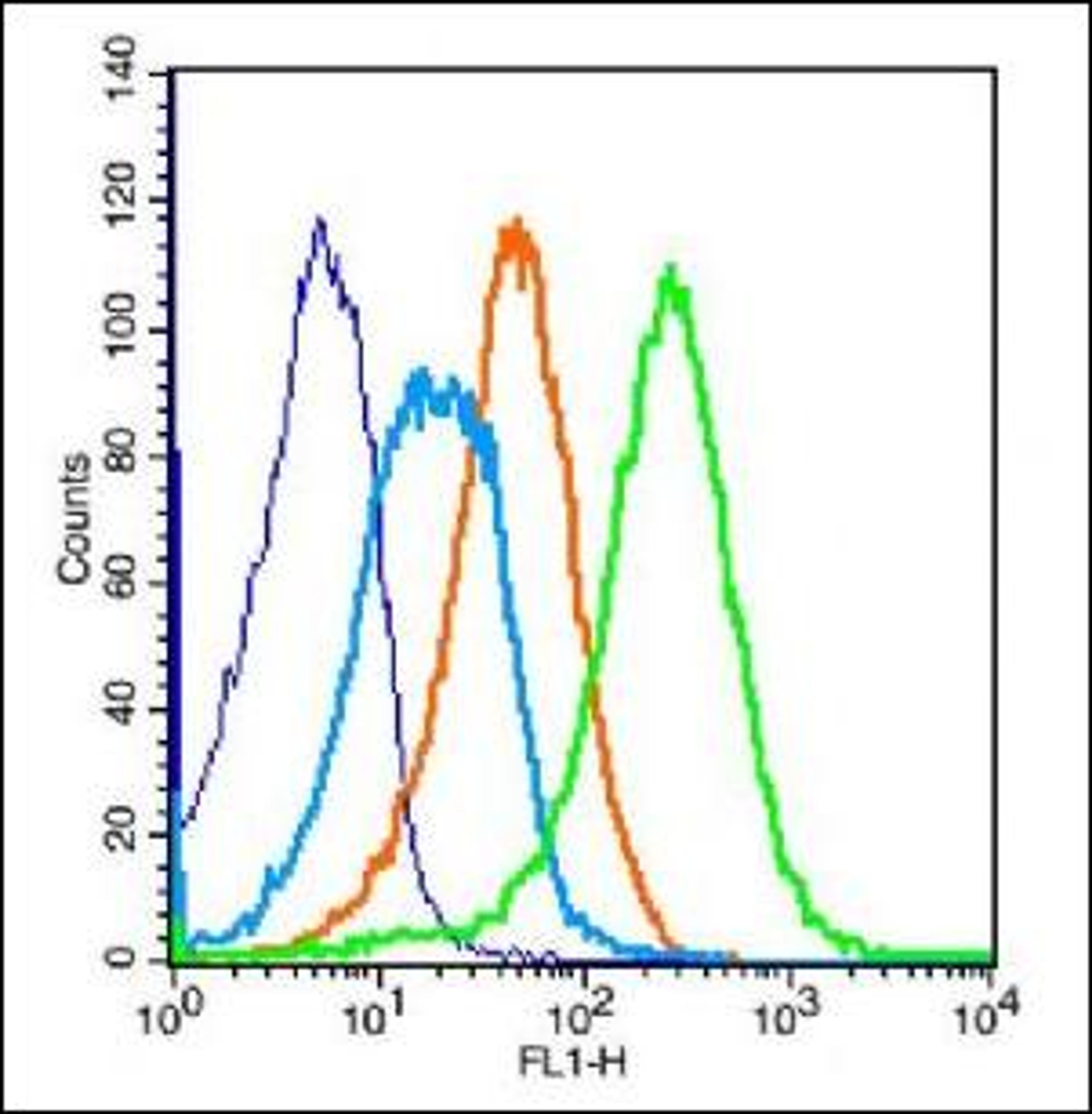 Flow cytometric analysis of (mo) Splenocytes Cell using PCDH12 antibody.