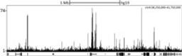 Localization of CHD1 Binding Sites by ChIP-sequencing.