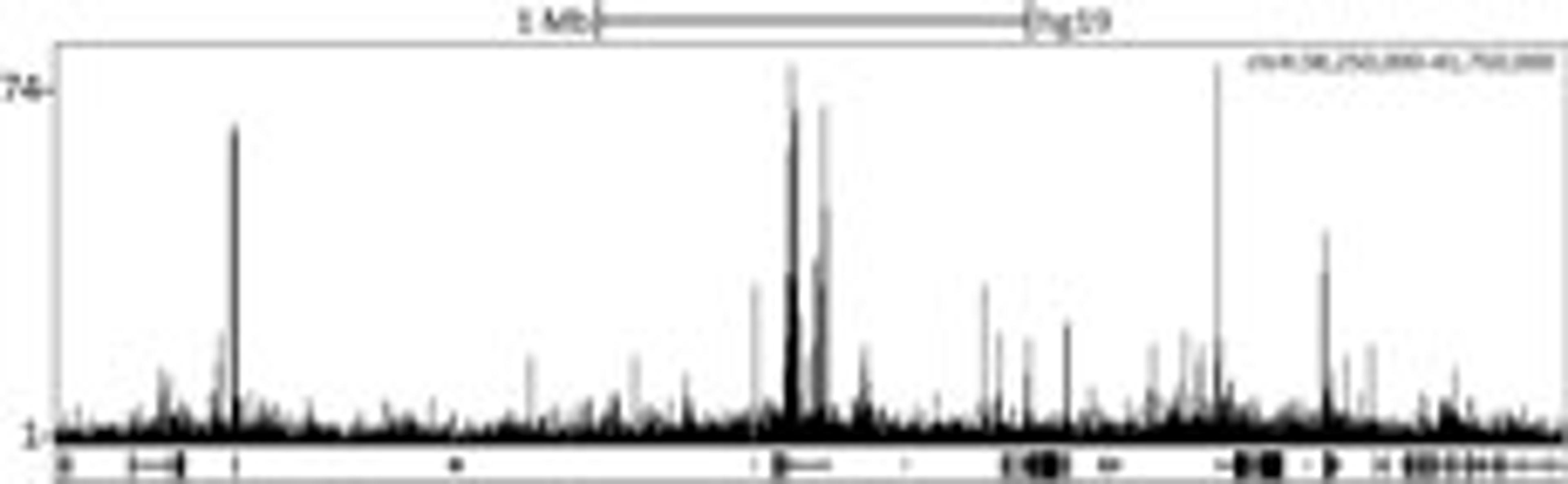 Localization of CHD1 Binding Sites by ChIP-sequencing.