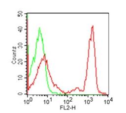 Flow Cytometry: CD4 Antibody (RPA-T4) [NBP2-25199] - Cell surface flow analysis of CD4 in human PBMC using this antibody at 0.25 ug/10^6 cells. Cells were stained with primary antibody followed by a PE-conjugated goat anti-mouse secondary antibody this antibody . Green represents isotype control this antibody ; red represents anti-CD4 antibody. Cells in the lymphocyte gate were used for analysis.