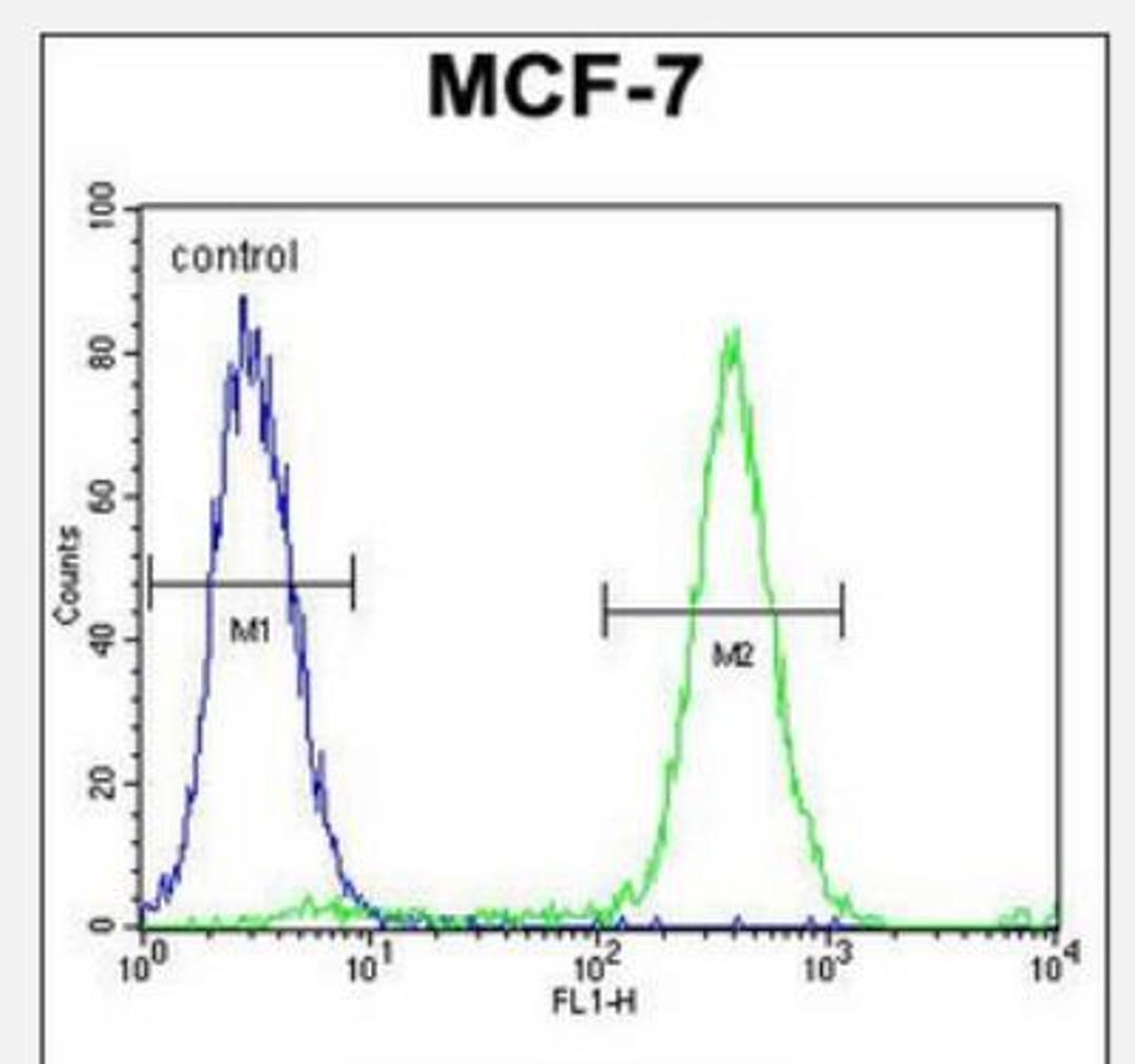 Flow Cytometry: QTRTD1 Antibody [NBP2-30013] - Flow cytometric analysis of MCF-7 cells (right histogram) compared to a negative control cell (left histogram).FITC-conjugated goat-anti-rabbit secondary antibodies were used for the analysis.