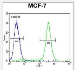 Flow Cytometry: QTRTD1 Antibody [NBP2-30013] - Flow cytometric analysis of MCF-7 cells (right histogram) compared to a negative control cell (left histogram).FITC-conjugated goat-anti-rabbit secondary antibodies were used for the analysis.