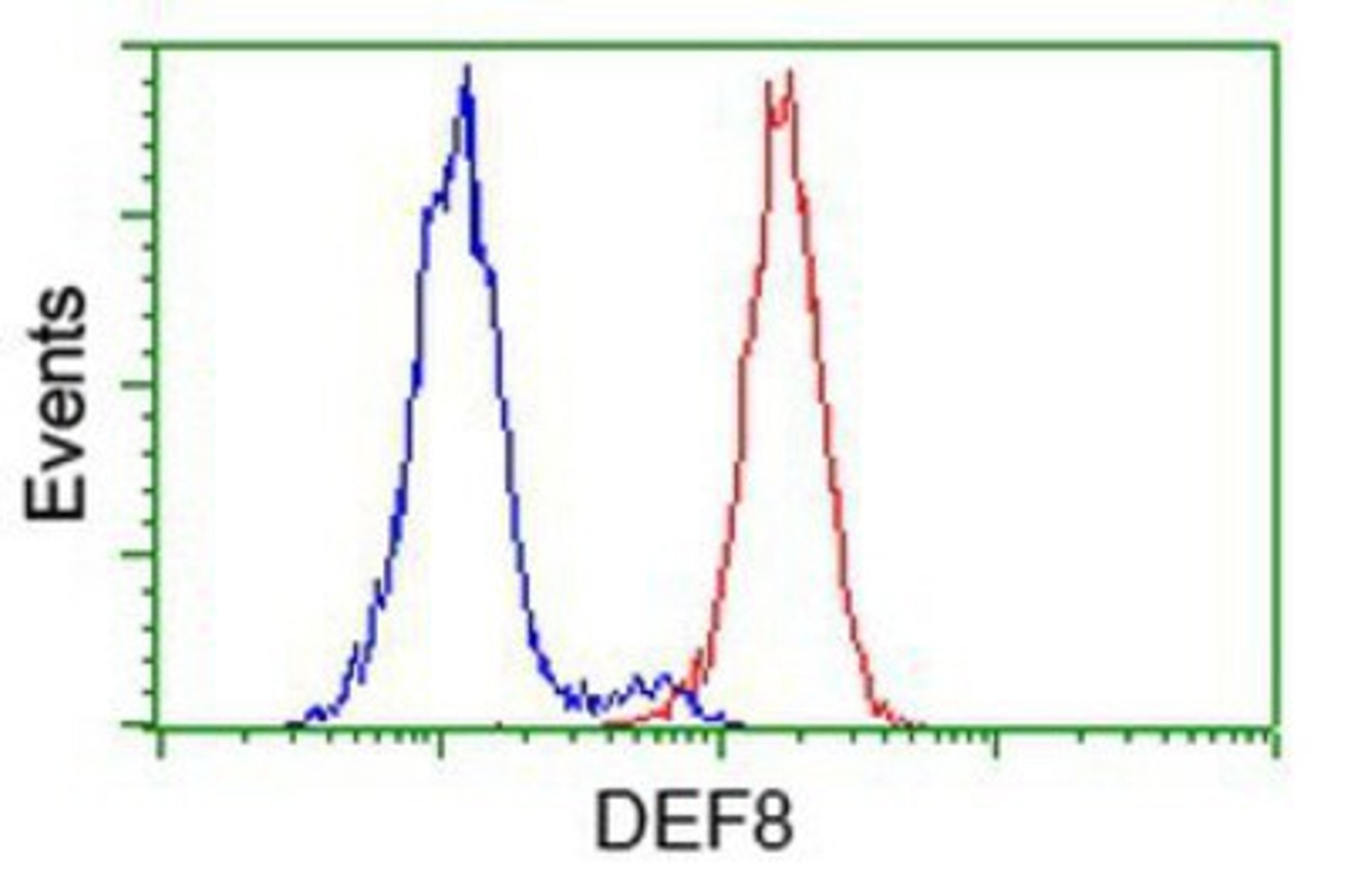 Flow Cytometry: DEF8 Antibody (4B6) [NBP2-00574] - Analysis of Hela cells, using anti-DEF8 antibody, (Red), compared to a nonspecific negative control antibody (Blue).