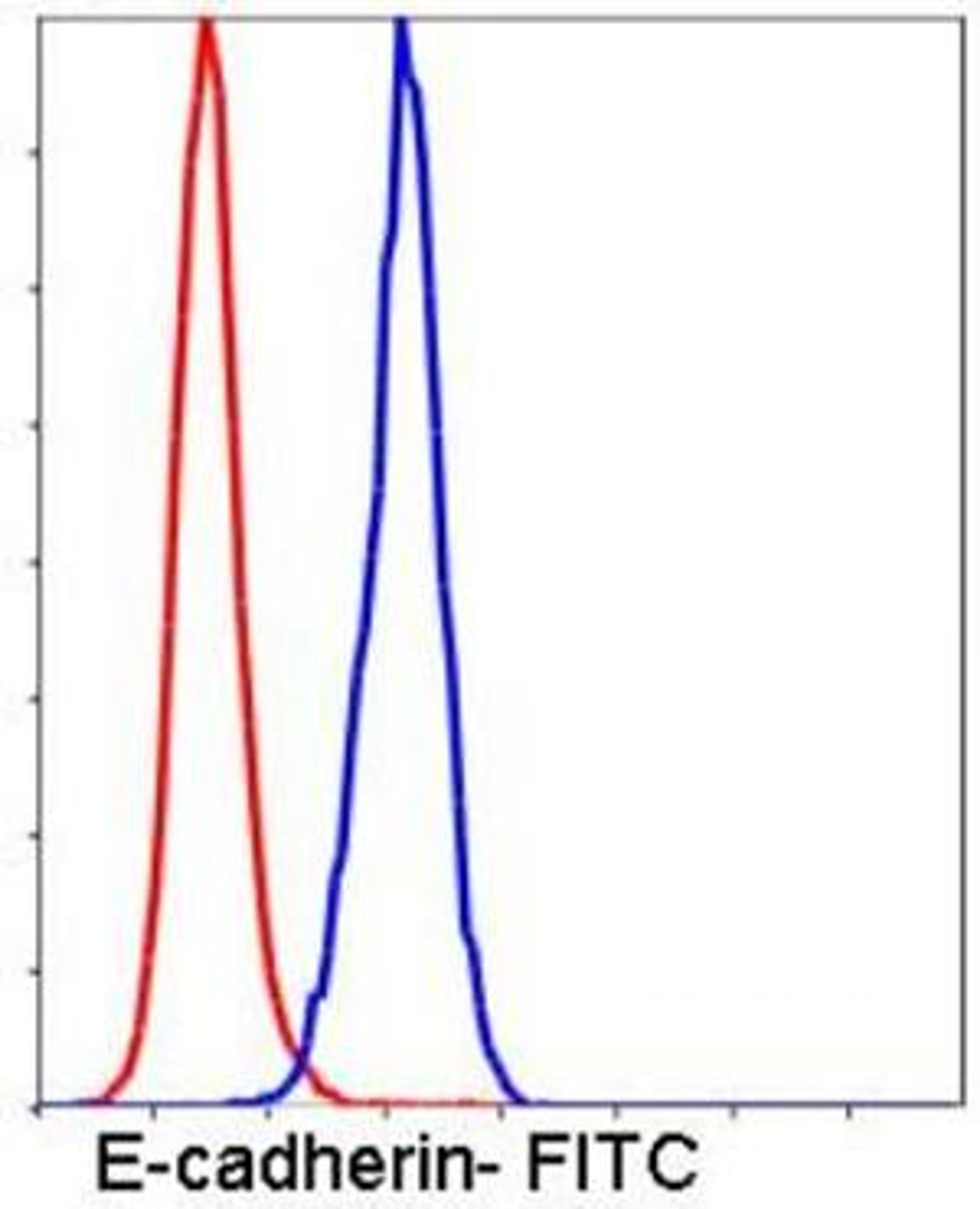 Flow cytometric analysis of HeLa cells using E-Cadherin antibody