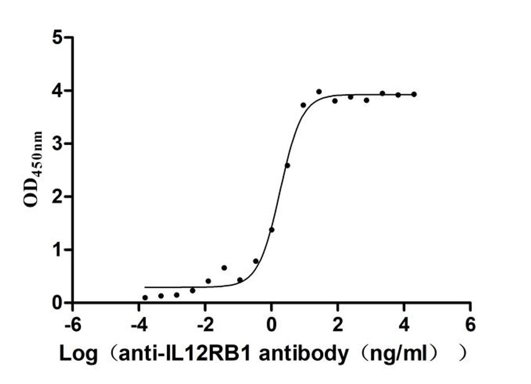 The Binding Activity of Human IL12RB1 with Anti-IL12RB1 recombinant antibody. Activity: Measured by its binding ability in a functional ELISA. Immobilized human IL12RB1(CSB-MP011588HU3) at 2 μg/mL can bind Anti-IL12RB1 recombinant antibody. The EC<sub>50</sub> is 1.578-2.143 ng/mL.