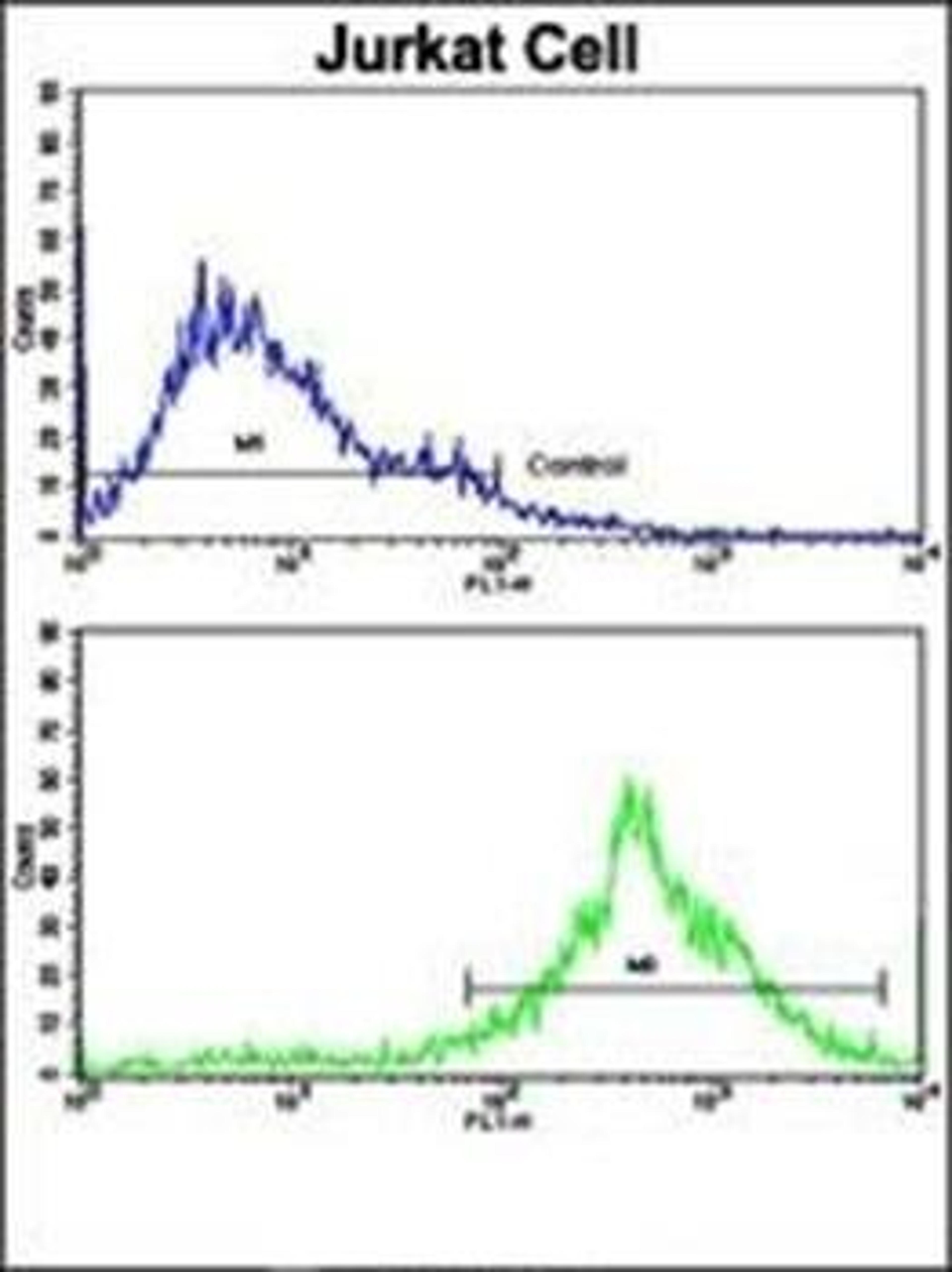 Flow cytometric analysis of Jurkat cells using KLRC1 antibody (primary antibody dilution at: 1:10-50)