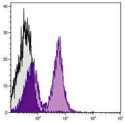 BALB/c mouse splenocytes were stained with Rat Anti-Mouse CD40-SPRD (Cat. No. 98-767).
