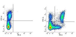 Figure A. Mouse anti Human HLA DP/DQ/DR. 