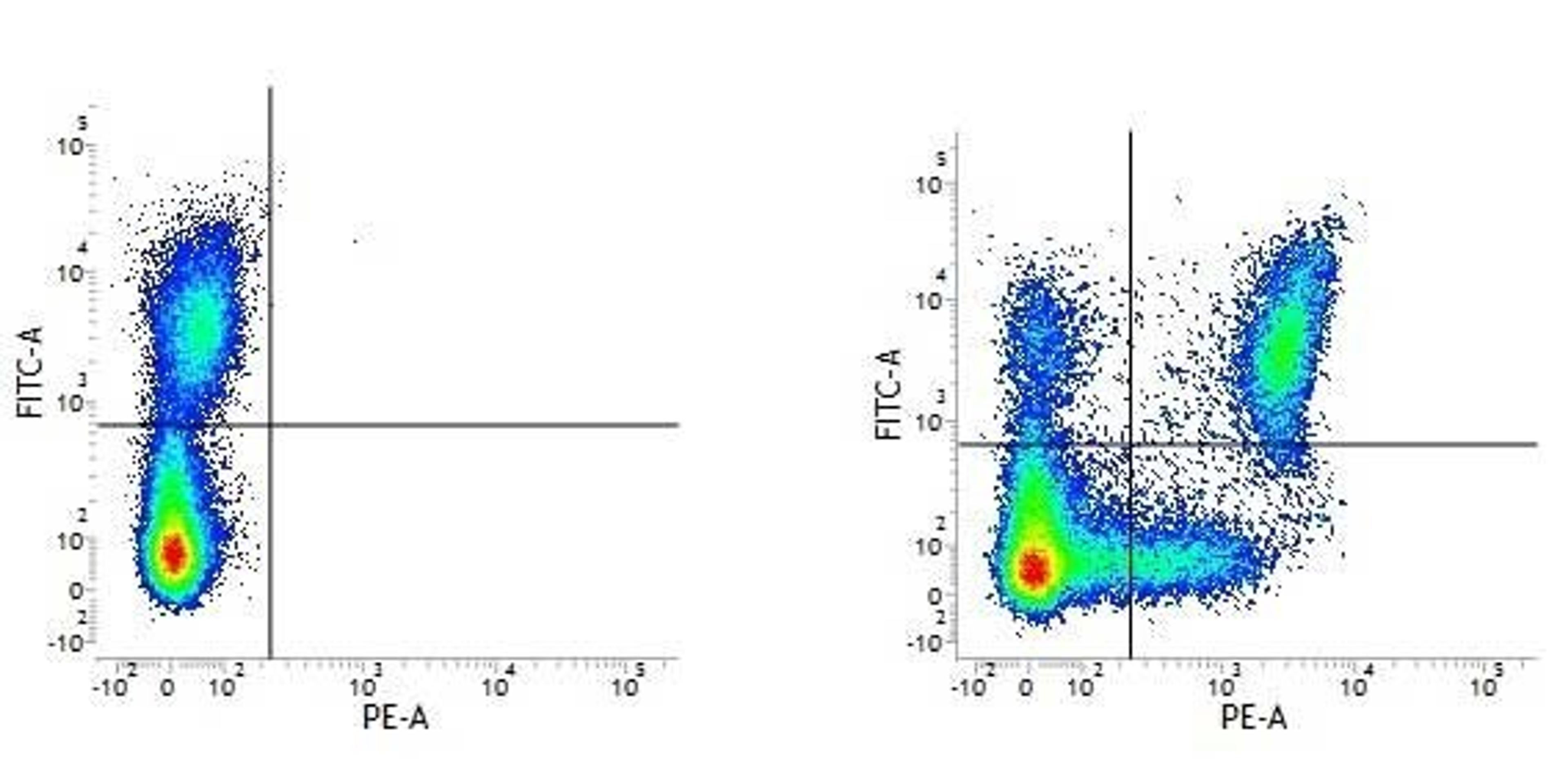 Figure A. Mouse anti Human HLA DP/DQ/DR. 