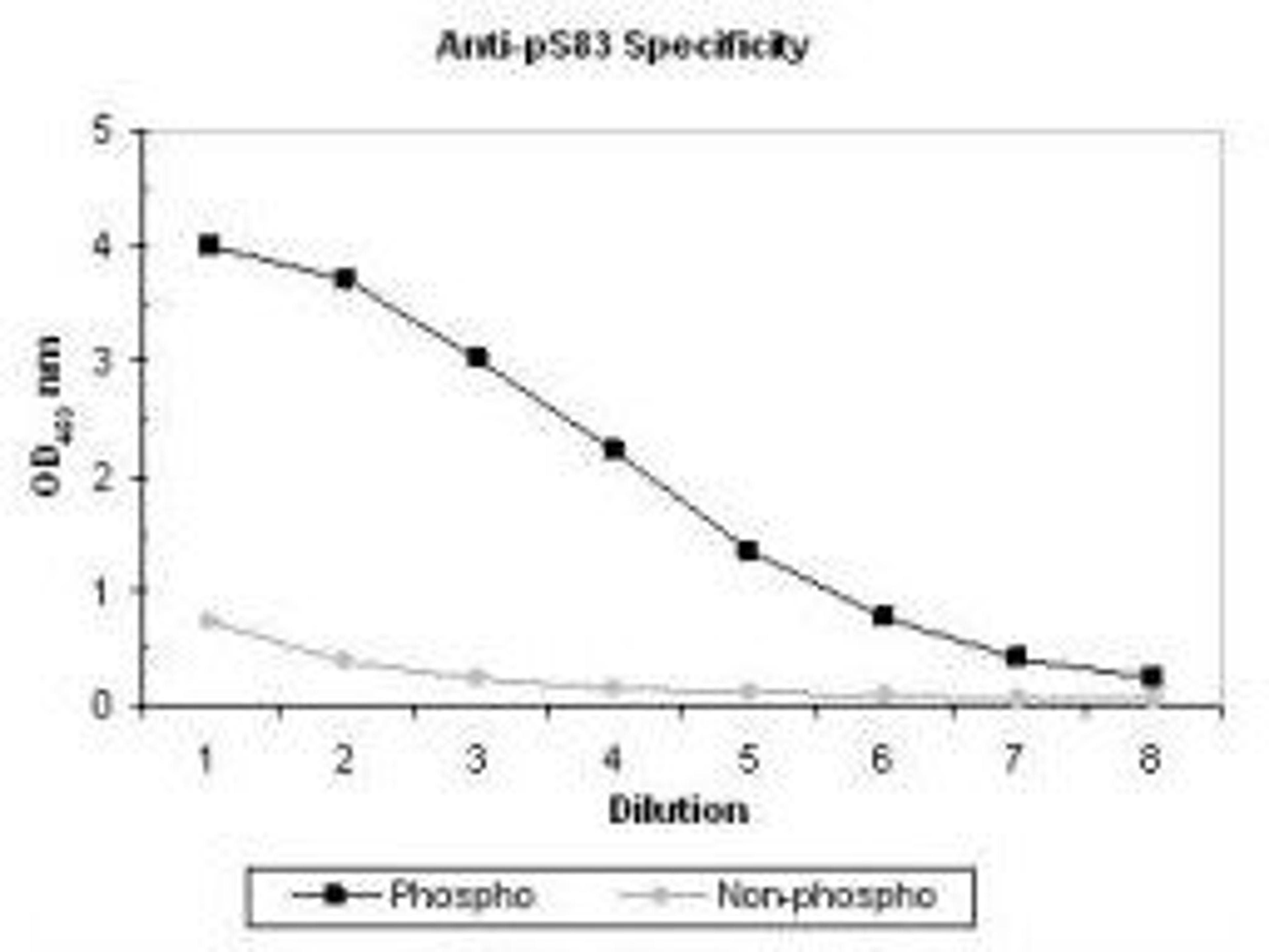 Line graph illustrates about the Ag-Ab reactions using different concentrations of antigen and serial dilutions of using ASK-1 (phospho-S83) antibody