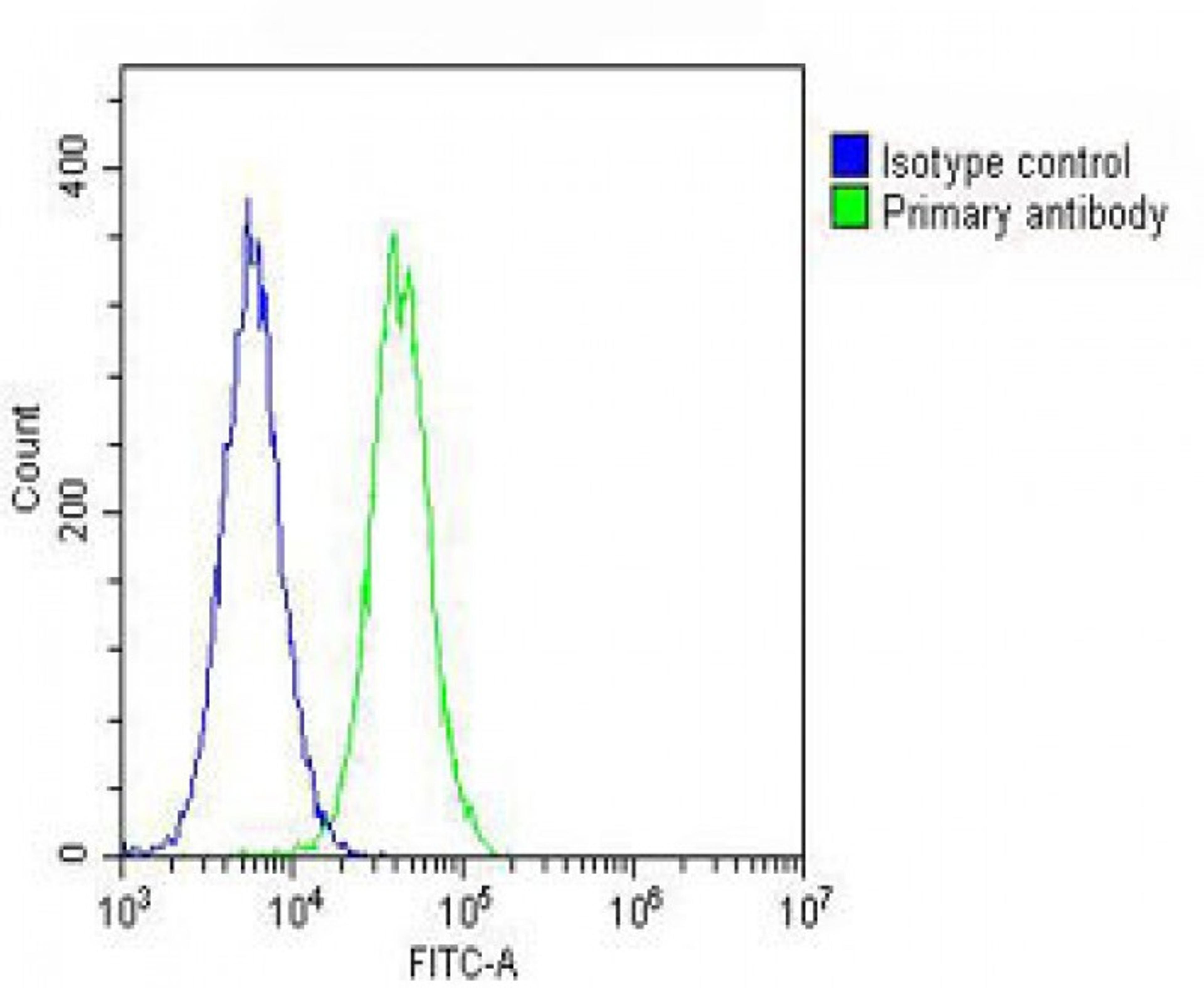 Overlay histogram showing Hela cells stained with Antibody (green line). The cells were fixed with 2% paraformaldehyde (10 min). The cells were then icubated in 2% bovine serum albumin to block non-specific protein-protein interactions followed by the ant