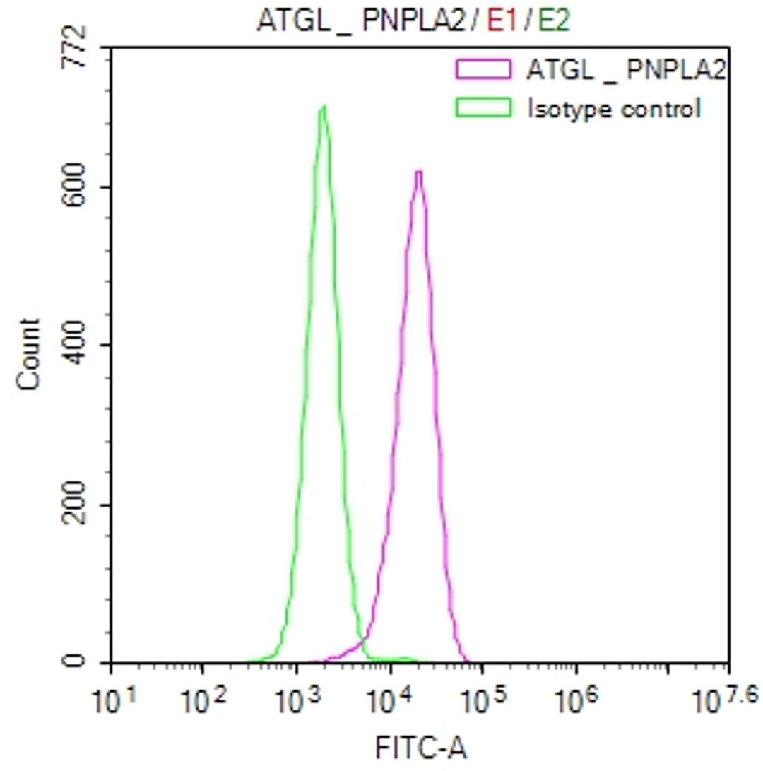 Overlay Peak curve showing HepG2 cells stained with CSB-RA111385A0HU (red line) at 1:50. The cells were fixed in 4% formaldehyde and permeated by 0.2% TritonX-100. Then 10% normal goat serum to block non-specific protein-protein interactions followed by the antibody (1µg/1*10<sup>6</sup>cells) for 45min at 4℃. The secondary antibody used was FITC-conjugated Goat Anti-rabbit IgG(H+L) at 1:200 dilution for 35min at 4℃.Control antibody (green line) was rabbit IgG (1µg/1*10<sup>6</sup>cells) used under the same conditions. Acquisition of >10,000 events was performed.