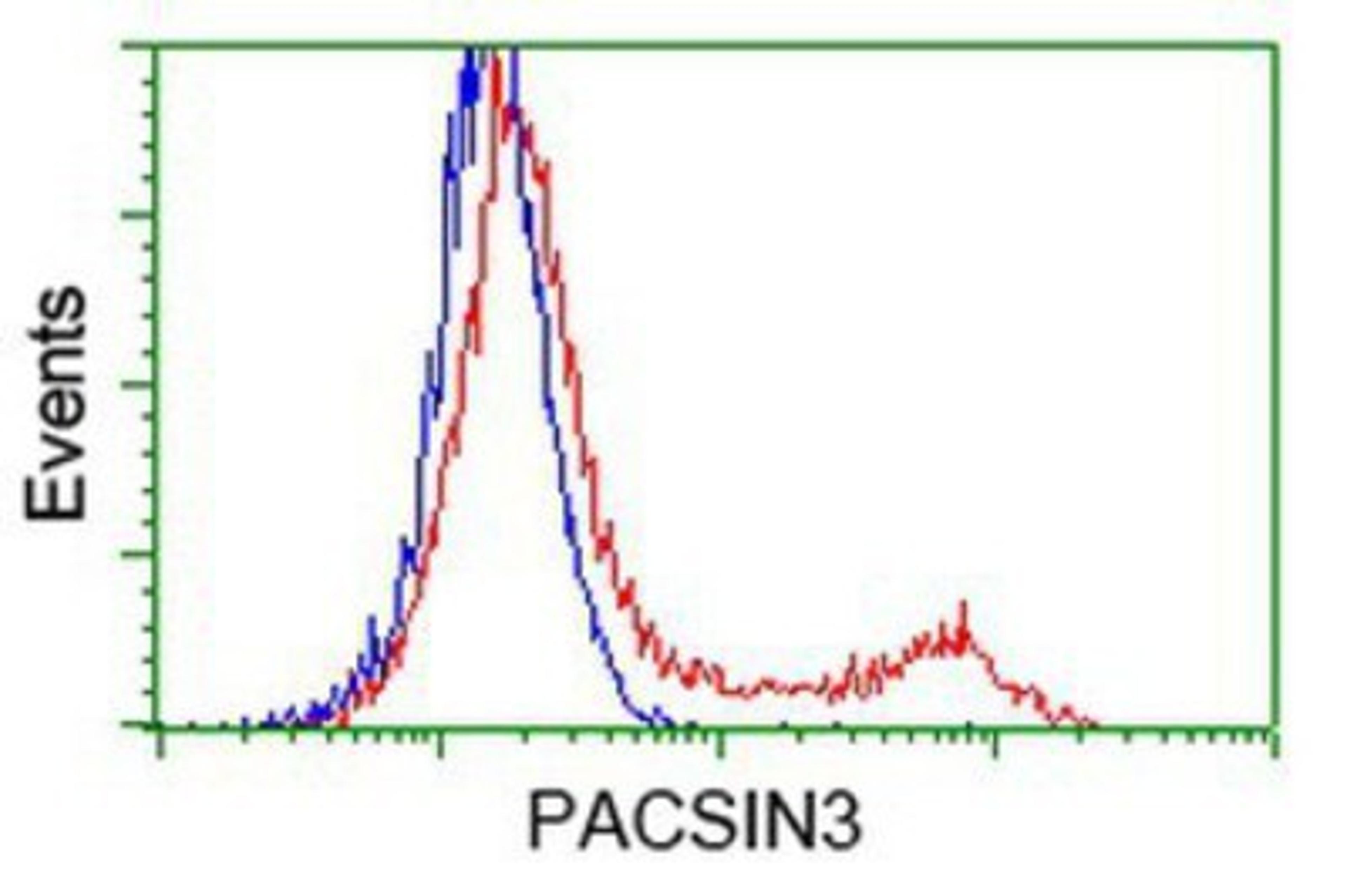 Flow Cytometry: PACSIN3 Antibody (4F8) [NBP2-03475] - HEK293T cells transfected with either overexpression plasmid (Red) or empty vector control plasmid (Blue) were immunostained by anti-PACSIN3 antibody, and then analyzed by flow cytometry.